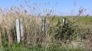 Chemin supprimé